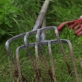 Meadow Planting