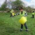 Meadow Planting