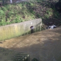 Run-off from the A10 road into Salmons Brook. Heavy metals and oil
