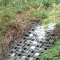 white-contamination-in-coldfall-stream