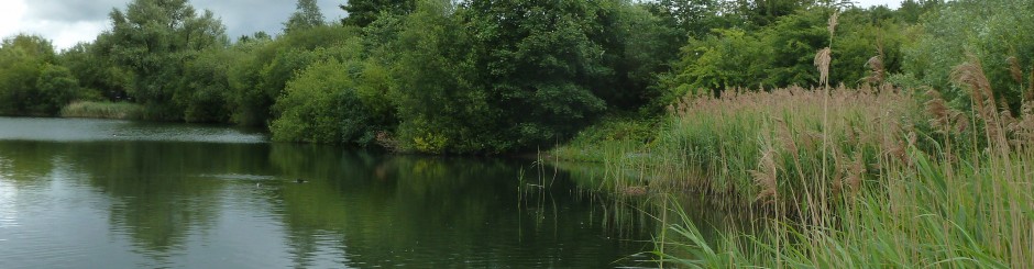Enjoy peaceful waterway scenes