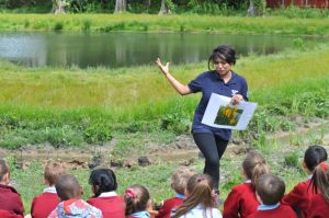 Youngsters get engaged with the new wetland and learn more about how what they planted will prevent flooding and pollution near their school