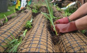 Up close - the coir mats made from coconut used to make the floating reedbeds