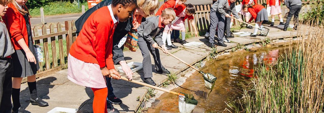 children In school uniform pond dipping