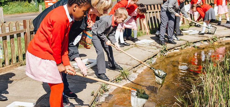 children In school uniform pond dipping