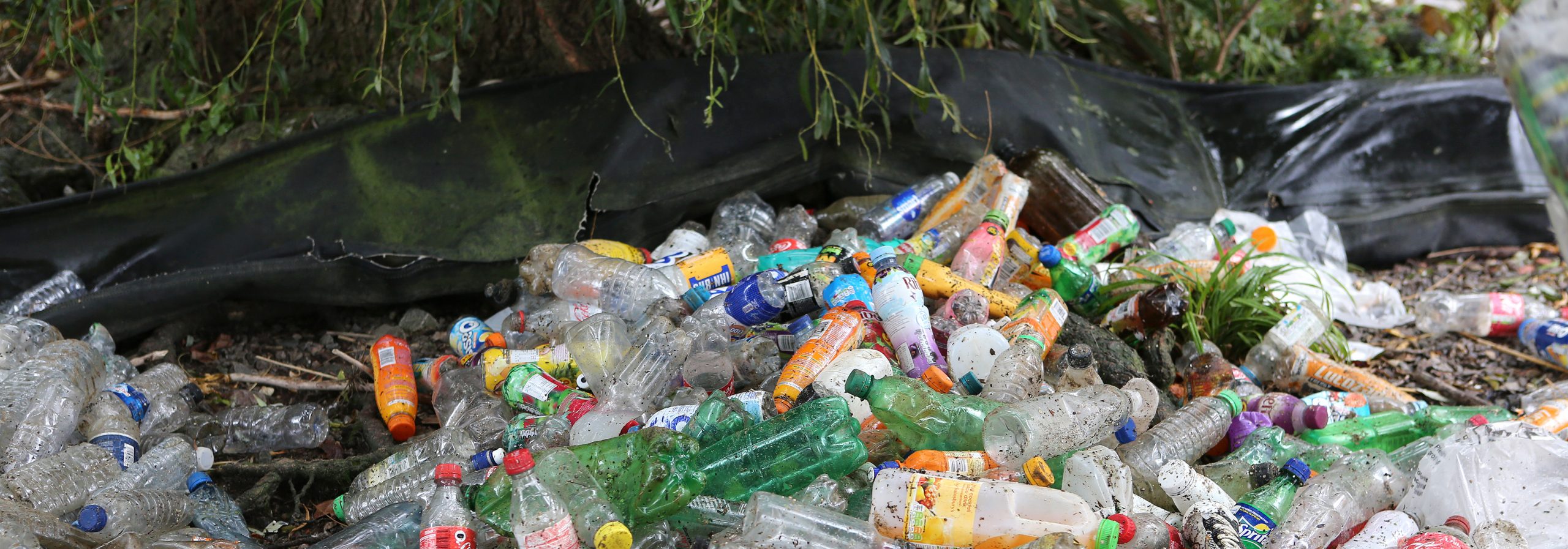 Thames21 welcomes committee's investigation into bottle water impact