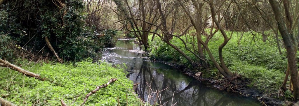 River restoration: Land of the Fanns – PROJECT COMPLETED