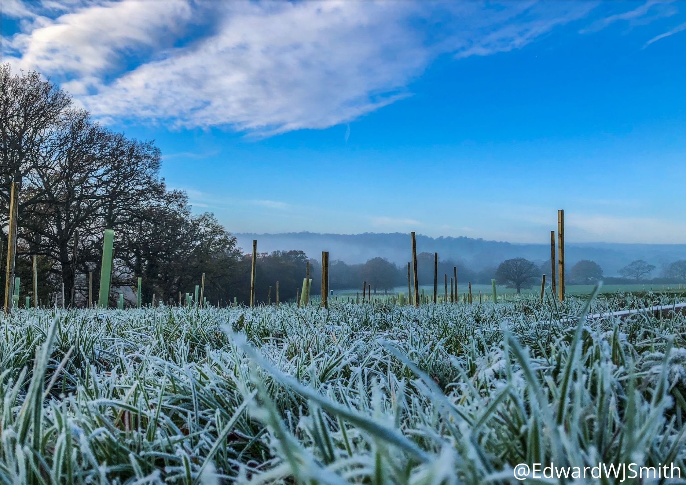 Natural Flood Management Resources for the Roding Catchment - Thames21