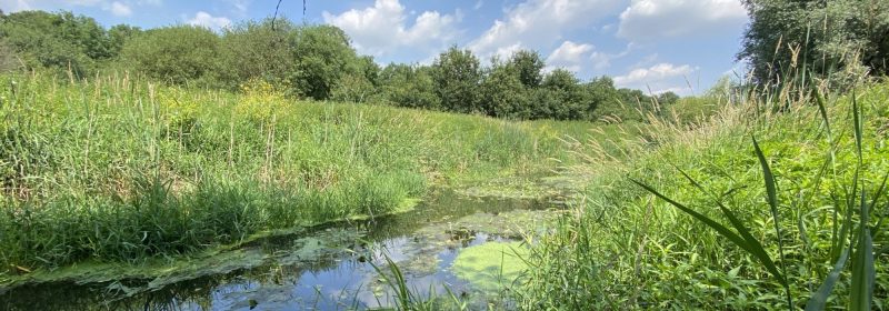 Mardyke Valley Thames21