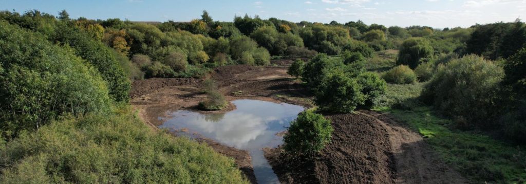 Rewilding the Rom – PROJECT COMPLETED