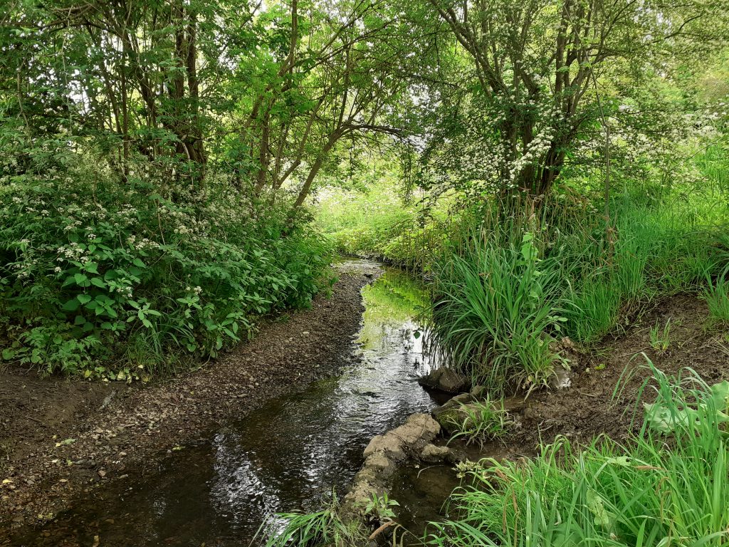 Leading Action For Healthy Rivers Training Silk Stream Thames21