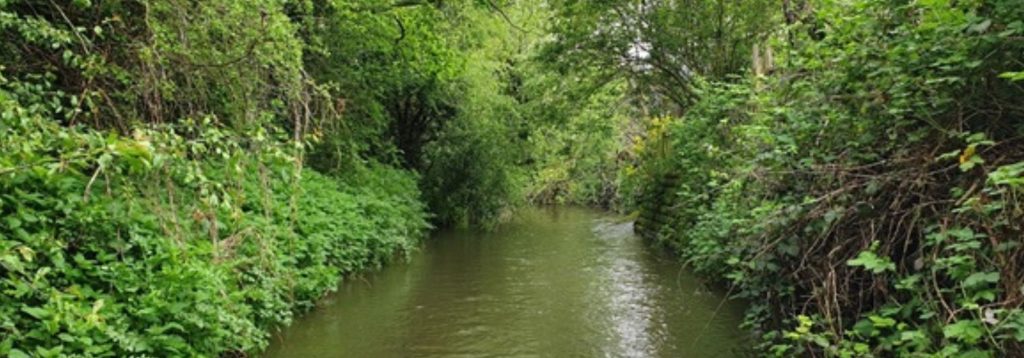 Community Action for the Cut – PROJECT COMPLETED