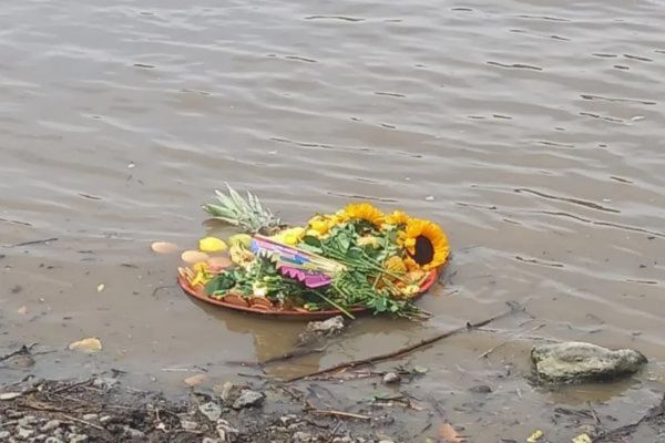 Flower and fruits floating in the river