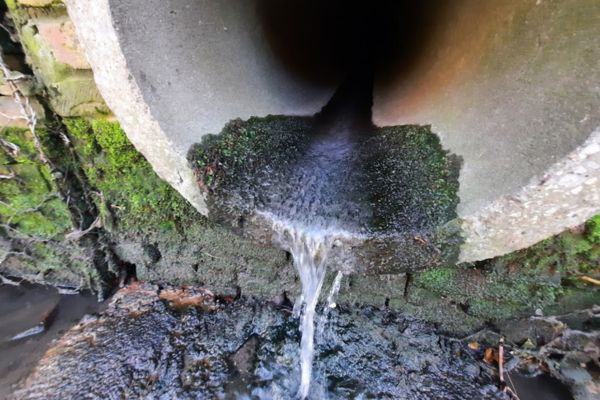 Sewage discharge pipe