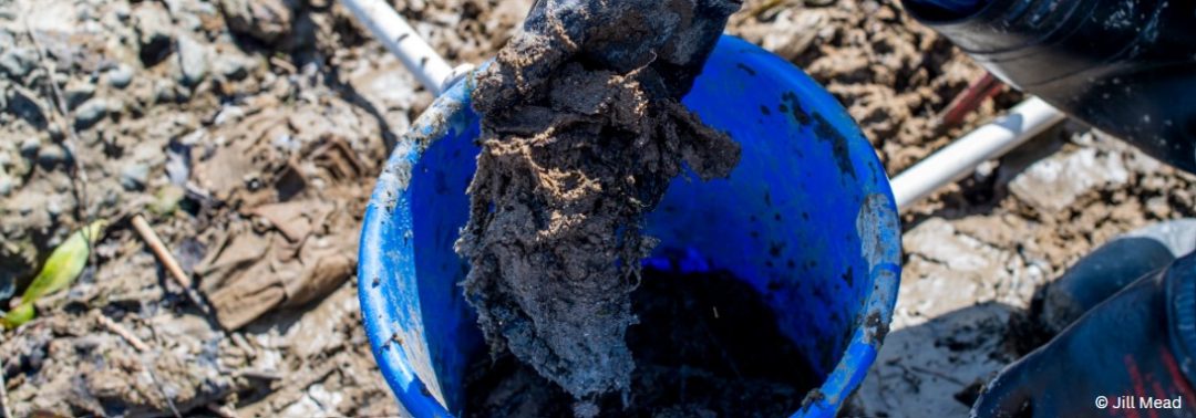 Volunteer holding wet wipes in a blue bucket