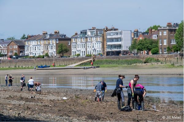 Volunteers cleaning the foreshore