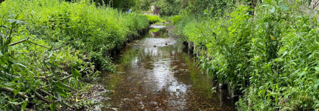 The River Ravensbourne and Glassmill Pond – PROJECT COMPLETED