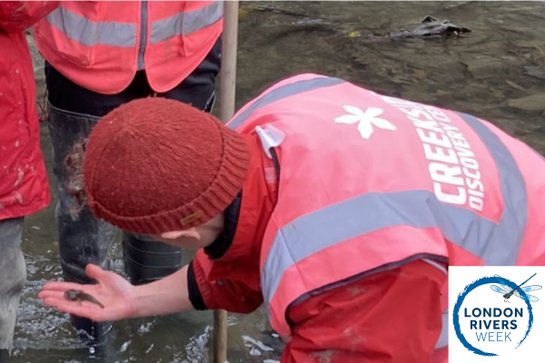 Untitled design – 2026-02-24T115201.874