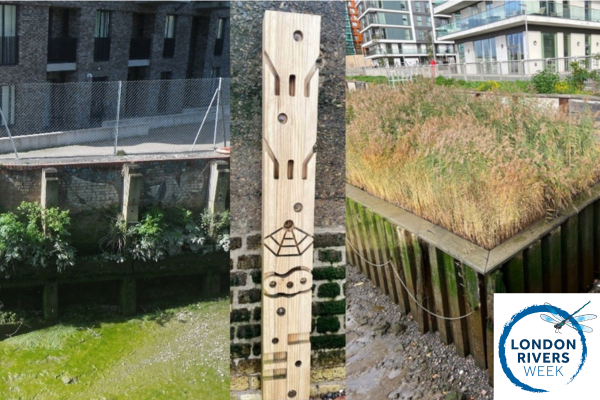 Images for website LRW 2026 (5)