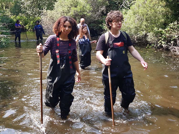 a group volunteers in waders walking through a shallow river on a sunny day using sticks to help them balance