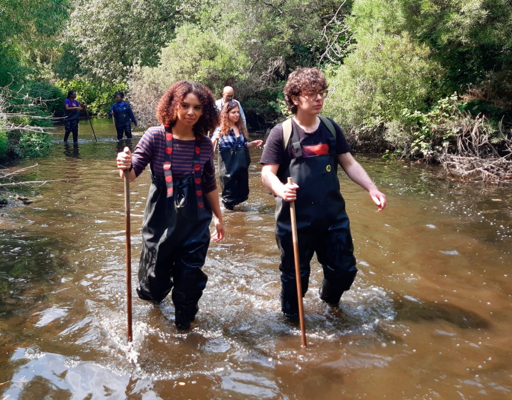 a group volunteers in waders walking through a shallow river on a sunny day using sticks to help them balance